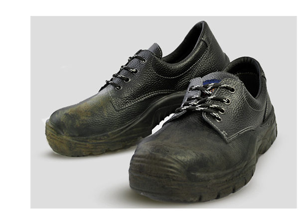 Cavalier sales shoe cream